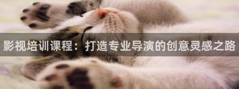 日韩精品久久久久久久电影蜜臀：影视培训课程：打造专业导演的创意灵感之路