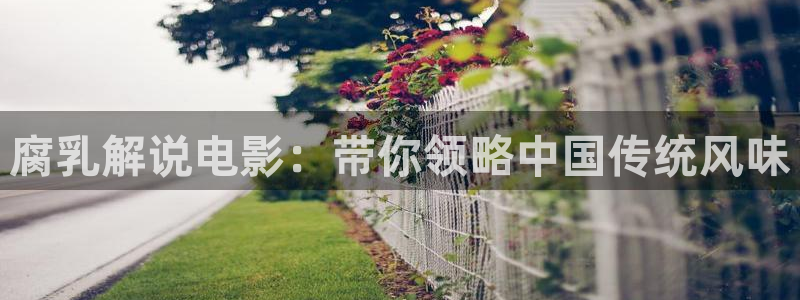 久久视频聊天：腐乳解说电影：带你领略中国传统风味