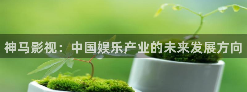 久久久久久精品视频：神马影视：中国娱乐产业的未来发展方向