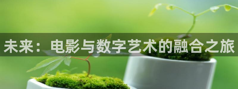 久久久视频2019：未来：电影与数字艺术的融合之旅