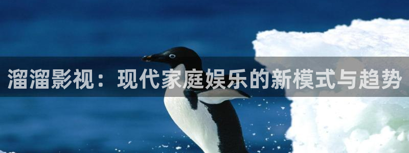 桃花影院久久久：溜溜影视：现代家庭娱乐的新模式与趋势