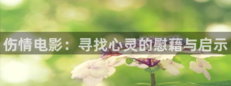淫久久久影院：伤情电影：寻找心灵的慰藉与启示