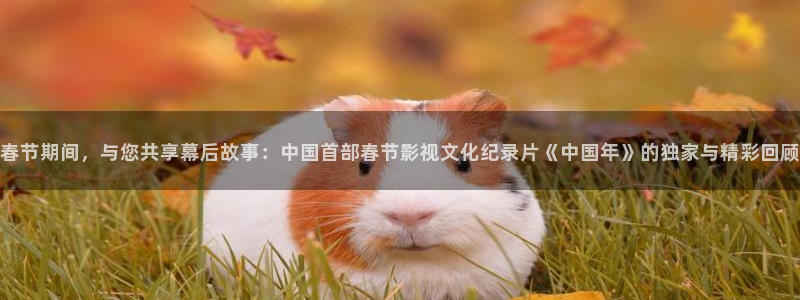 96久久视频：春节期间，与您共享幕后故事：中国首部春节影视文化纪录片《中国年》的独家与精彩回顾