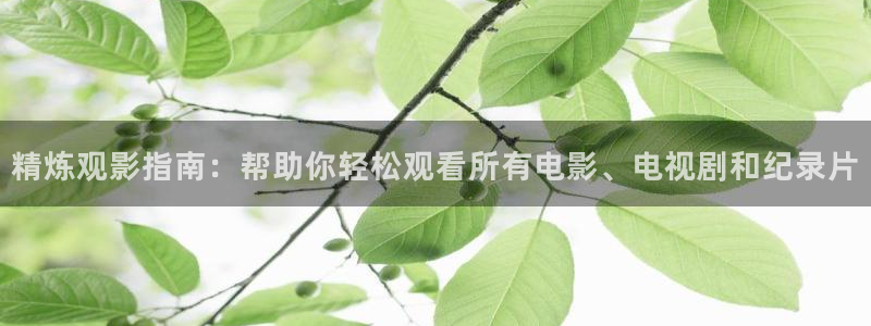国产精品久久久久精品视频：精炼观影指南：帮助你轻松观看所有电影、电视剧和纪录片