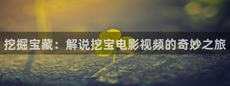 久久久久久熟女视频：挖掘宝藏：解说挖宝电影视频的奇妙之旅