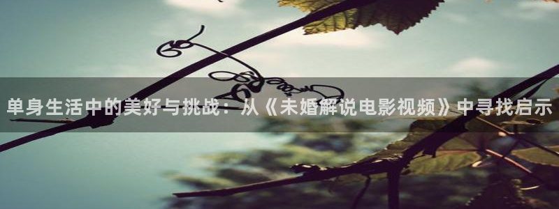 久久久影院免费：单身生活中的美好与挑战：从《未婚解说电影视频》中寻找启示