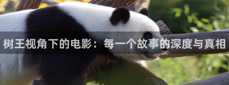 欧美久久久久视频：树王视角下的电影：每一个故事的深度与真相