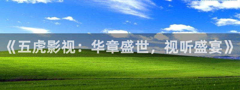 午夜久久视频：《五虎影视：华章盛世，视听盛宴》