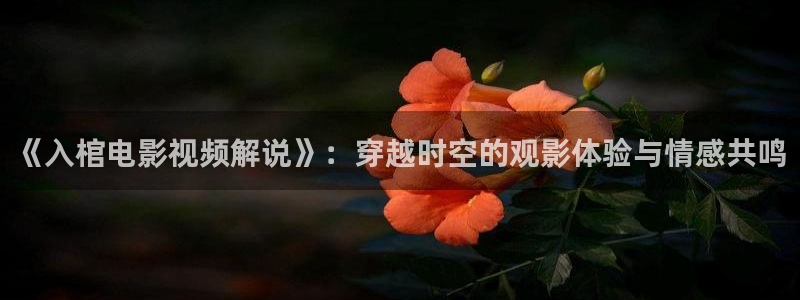 久久久影院,午夜家庭影院：《入棺电影视频解说》：穿越时空的观影体验与情感共鸣
