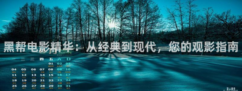 久久久久久精品成人鲁丝电影：黑帮电影精华：从经典到现代，您的观影指南