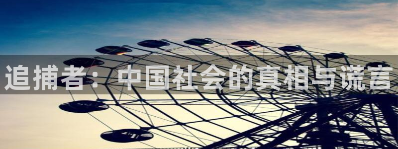 久久久久视频.：追捕者：中国社会的真相与谎言