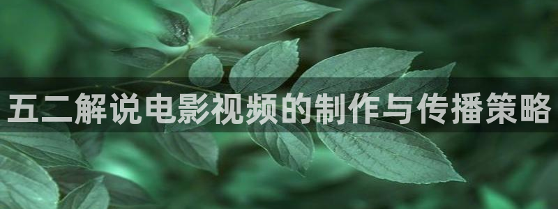 久久视频国产在线观看：五二解说电影视频的制作与传播策略