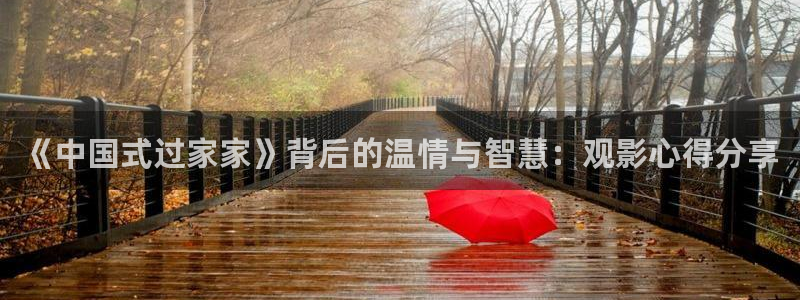 av国内精品久久久久影院：《中国式过家家》背后的温情与智慧：观影心得分享