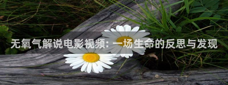 久久视频九九视频