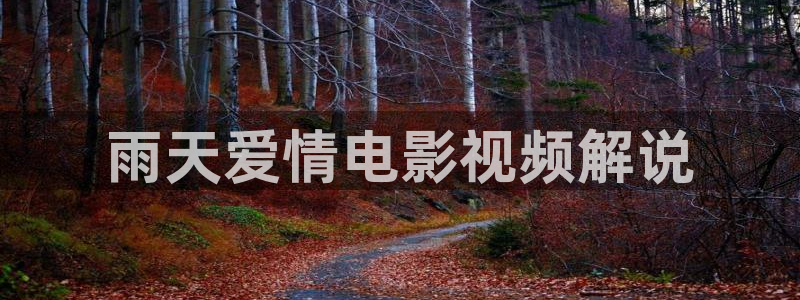 久久久久久夜夜夜视频：雨天爱情电影视频解说