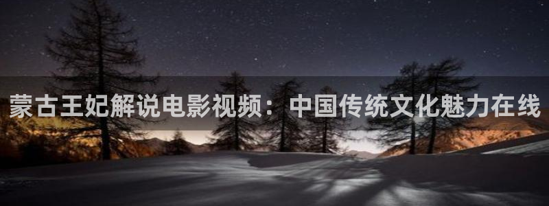 久久久久视频网站：蒙古王妃解说电影视频：中国传统文化魅力在线