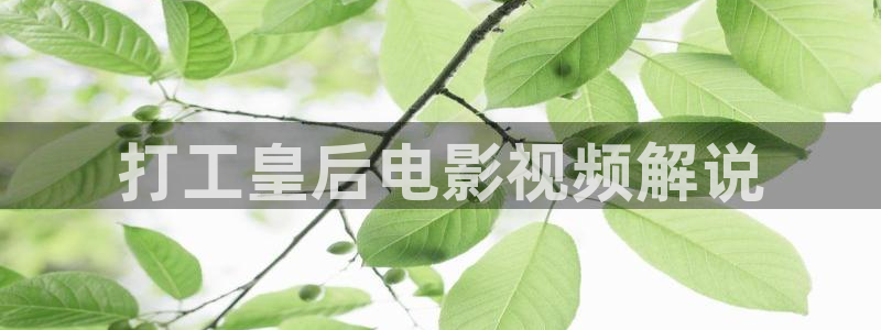 精品电影久久久久久：打工皇后电影视频解说